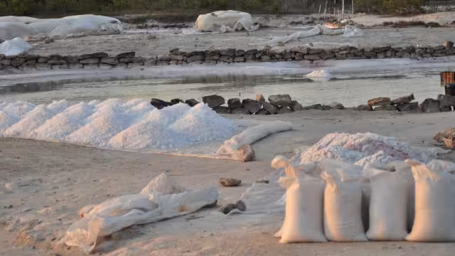 La investigación del Cinvestav Mérida reveló el peligro de consumir plástico