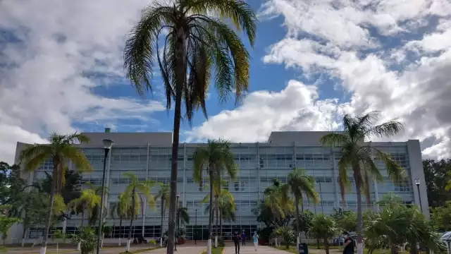 Los médicos trataron de ayudarla, pero ya no había nada que hacer