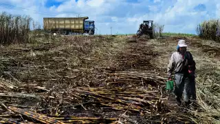 FOTOS: Luis Enrique Tuz