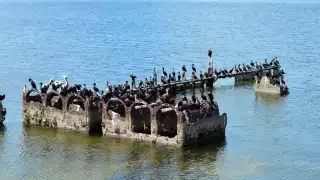 Los vestigios de la embarcación están en el malecón de Campeche
