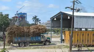 Lluvias impiden a trabajadores limpiar 10 mil toneladas de caña cortadas