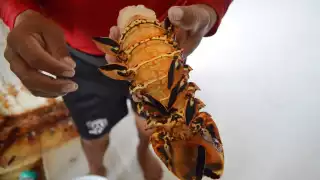 El abasto para la Cuaresma se encuentra cubierta por los pescadores locales