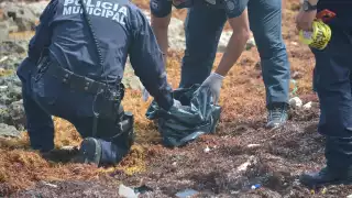 La evidencia fue traslada a las instalaciones de la policía local