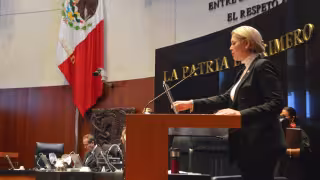 Verónica Camino Farjat resaltó la propuesta ante el Senado de la República