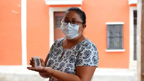 Los apicultores de Muna, Espita, Muxupip, Mayapán y Timucuy, fueron los beneficiarios en esta entrega Los apicultores de Muna, Espita, Muxupip, Mayapán y Timucuy, fueron los beneficiarios en esta entrega