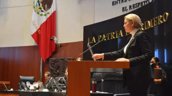 Verónica Camino Farjat resaltó la propuesta ante el Senado de la República