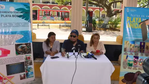 En Campeche existen 14 campamentos tortugueros donde se han contabilizado 291 nidos de tortugas En Campeche existen 14 campamentos tortugueros donde se han contabilizado 291 nidos de tortugas