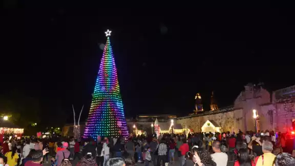 El árbol de más de 30 metros de altura atrajo a diversos campechanos que en su afán de ver el espectáculo de luces y adornos