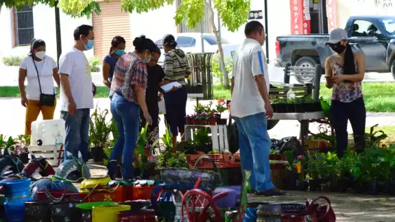 Foto: Por Esto! Campeche