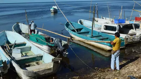 Foto: Alan Gómez