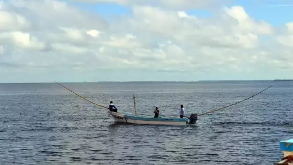 Aunado a la depredación y la pandemia, se han registrado robos de motores en Isla Arena Aunado a la depredación y la pandemia, se han registrado robos de motores en Isla Arena