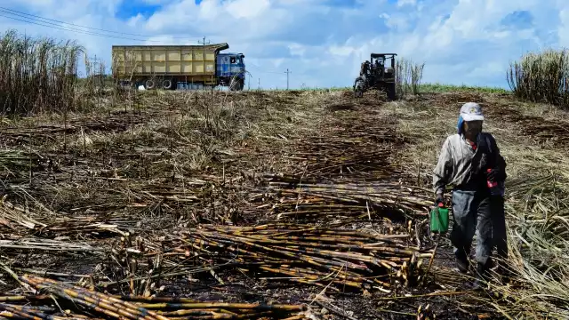FOTOS: Luis Enrique Tuz