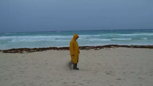 Se espera que la Tormenta Tropical Ophelia llegue a Estados Unidos