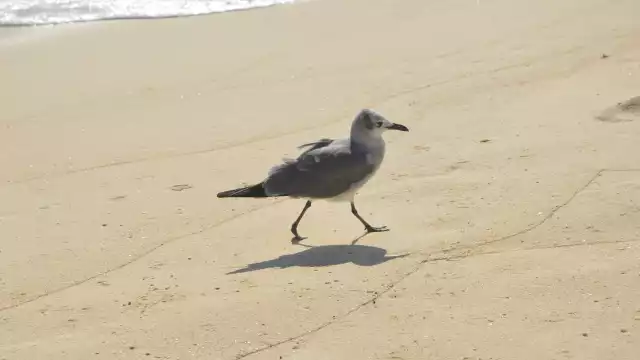 FOTO: Sandy Márquez