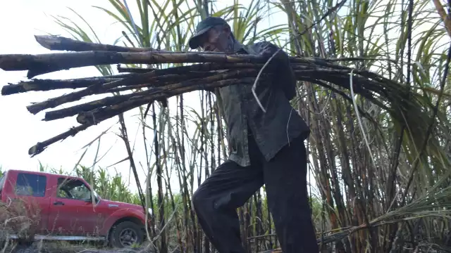 Foto: Luis Enrique Tuz