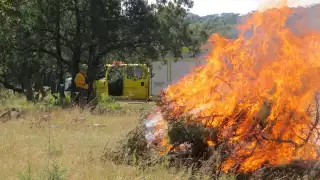 En 2021 México registró siete mil 337 incendios forestales, la mayoría en el Estado de México y Jalisco