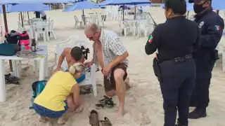 Turistas del crucero 'Carnival Breeze' son atacados por rayas en la playa de Progreso: EN VIVO
