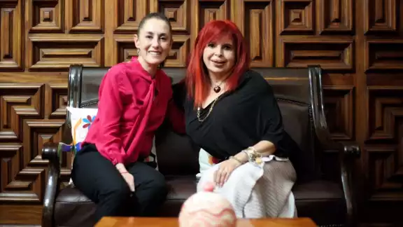 Las políticas en cuestión, se encuentran en lista que el pasado 16 de febrero emitió el INE Las políticas en cuestión, se encuentran en lista que el pasado 16 de febrero emitió el INE