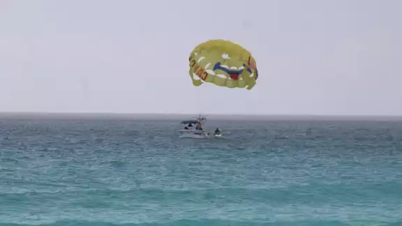 La aparición de pasto marino sobre la arena, no preocupó a los asistentes La aparición de pasto marino sobre la arena, no preocupó a los asistentes