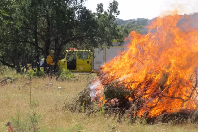 En 2021 México registró siete mil 337 incendios forestales, la mayoría en el Estado de México y Jalisco