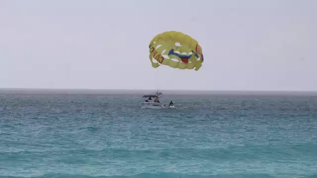 La aparición de pasto marino sobre la arena, no preocupó a los asistentes