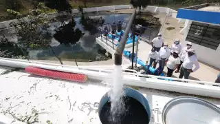 El objetivo de este mantenimiento en la zona de captación es brindar sustentabilidad a la red por al menos diez años