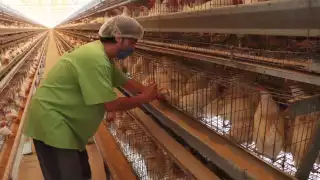 La SSY confirmó que hasta el momento no hay casos de intoxicación por el consumo de carne