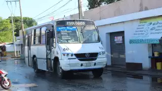 Dentro del APFFLT hay 107 mil 880 hectáreas de mangle, que la aparición y crecimiento de asentamientos habitacionales causan daños como la deforestación