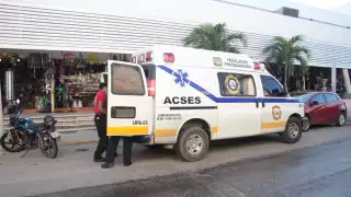 FOTOS: José Pacheco