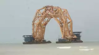 Las anidaciones de tortugas serían las primeras en ser afectadas por la gigantesca embarcación que está encallada