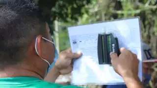 Informan que las actividades agropecuaria y petrolera de Campeche, están afectando el ecosistema