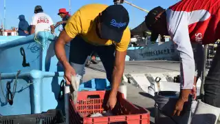 Al comenzar este mes aumenta hasta el 50 por ciento la captura de las embarcaciones en Yucatán