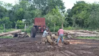 El ejido de Caobas tiene un permiso de aprovechamiento forestal del año 2015 al 2030, lo que les permite trabajar de manera sustentable la explotación de maderas