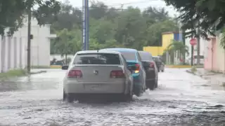 FOTO: Miguel Fernández