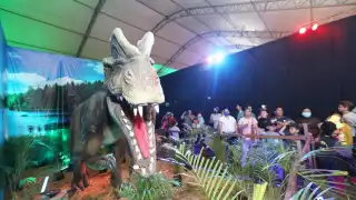 La exhibición estará disponible completamente gratis