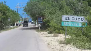 Envenenan mascotas con insecticida en El Cuyo; buscan al 'verdugo'