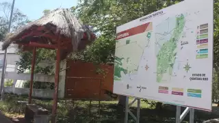 Foto: Moisés Omar Soto Suárez