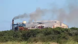 Quintana Roo presenta un rezago de 123 mil toneladas de caña