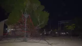 Un maltrecho arbolito de Navidad sin focos de colores no cumple la función de alegrar el ambiente en el Parque de la Playa
