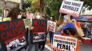 Pidieron que se usen calesas eléctricas en Mérida