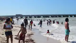Comerciantes opinan que se acercan a una etapa productiva, pues suponen un aumento en la afluencia de viajeros a Progreso