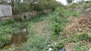 Diversos destrozos ocasionó la tromba del miércoles afectando drenajes y alcantarillados
