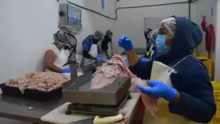 En tiempos de bonanza, las fábricas contratan hasta 2 mil personas