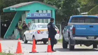 En Quintana Roo, roban siete vehículos por día