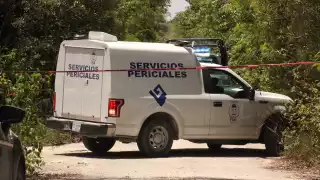 Los trabajadores de un vivero realizaron el hallazgo (Rafael García)