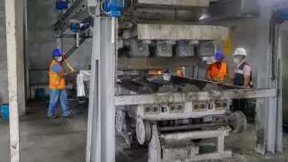 La división del trabajo junta a 250 empleados en producción, más otras 100 personas más en operación, fletes, entre otras acciones