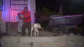 Patotas, un perro pitbull, mordió al agresor de su dueño para rescatarlo tras ser apuñalado en su vivienda