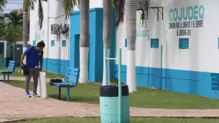 Se espera que pronto se permita a los entrenadores reanudar sus actividades