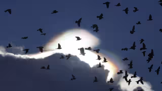 Este tipo de nubes son buenos indicadores del tiempo severo que se aproxima