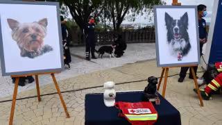 Benjamín ‘N’ podría pasar hasta 18 años en la cárcel por envenenar a Athos y Tango